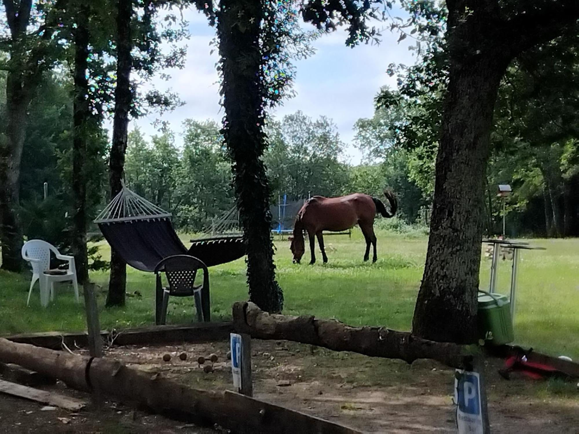 Maisonnette Pour Detente Ou Travail Saint-Aubin-de-Nabirat Eksteriør billede
